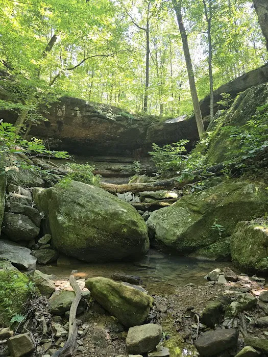 Brier Creek Campground Picture 10