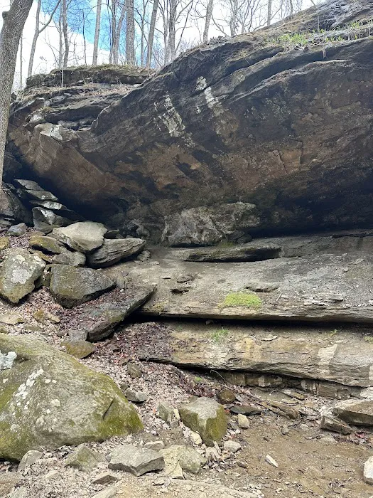 Nolin State Park Campground Picture 10