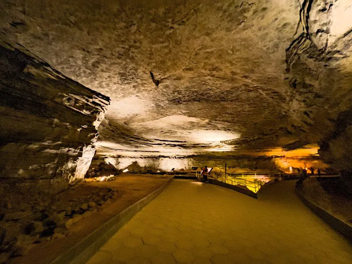 Mammoth Cave Campground Picture 1