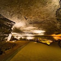 Mammoth Cave Campground ico