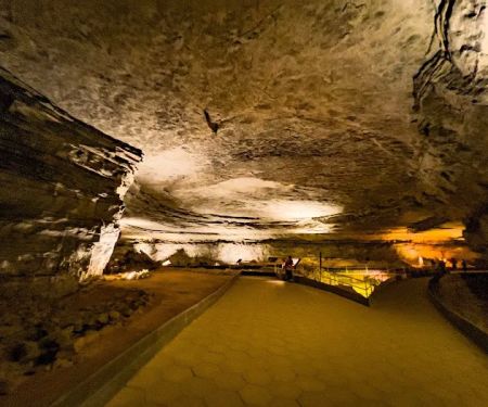 Mammoth Cave Campground