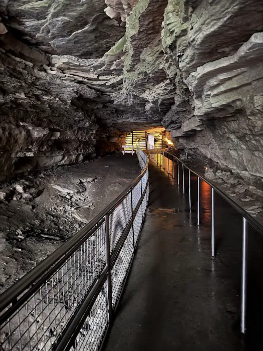 Mammoth Cave Campground Picture 3