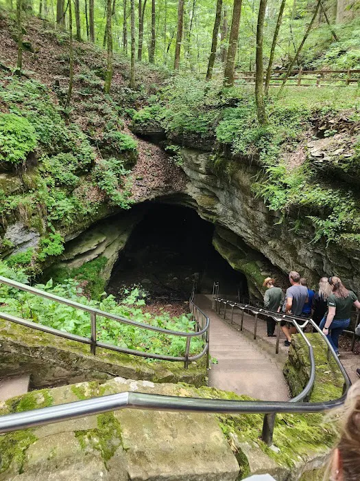 Mammoth Cave Campground Picture 6