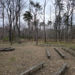 Maple Springs Group Campground