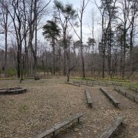 Maple Springs Group Campground ico