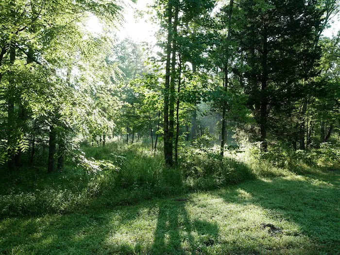 Maple Springs Group Campground Picture 6