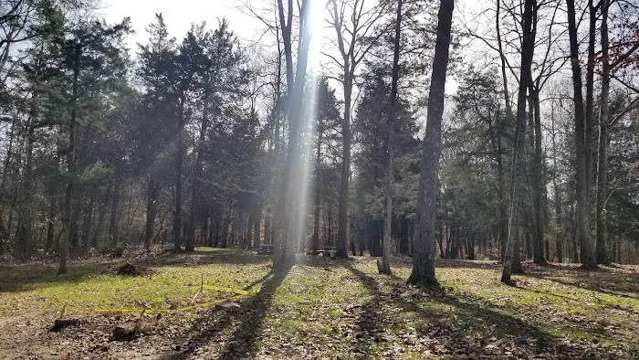 Maple Springs Group Campground Picture 10