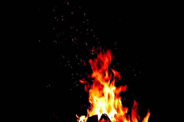 The Great Homestead Campground Picture 3