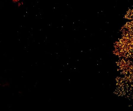 The Great Homestead Campground