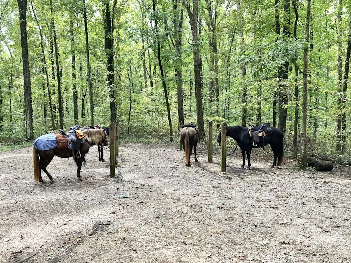 Mammoth Cave Horse Camp Picture 3