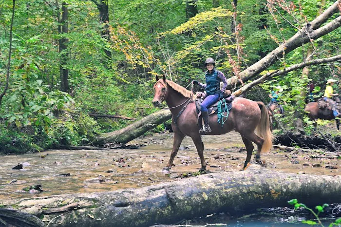 Mammoth Cave Horse Camp Picture 2