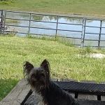 RSouthern Sunrise KY