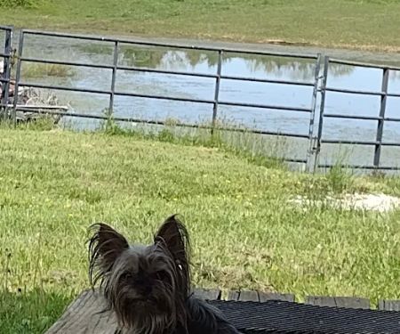 RSouthern Sunrise KY