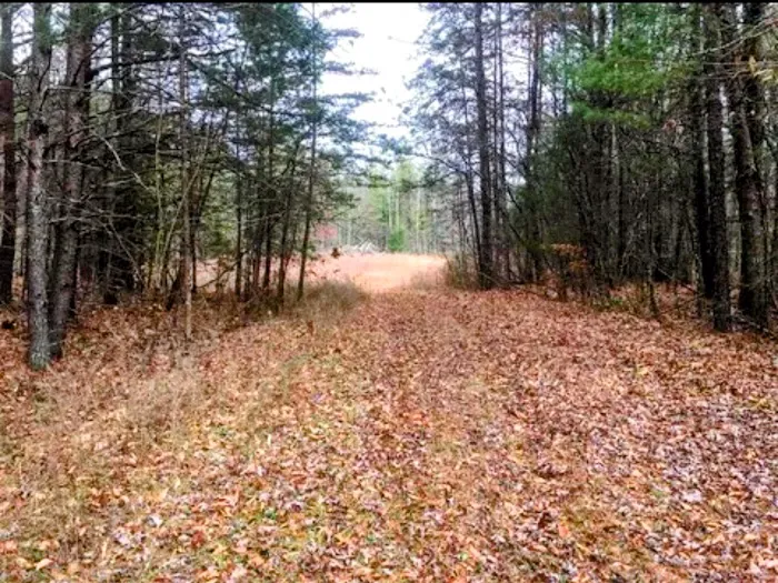 Serene Haven Retreat Campground Picture 1