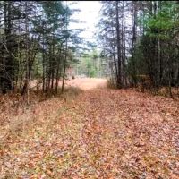 Serene Haven Retreat Campground ico