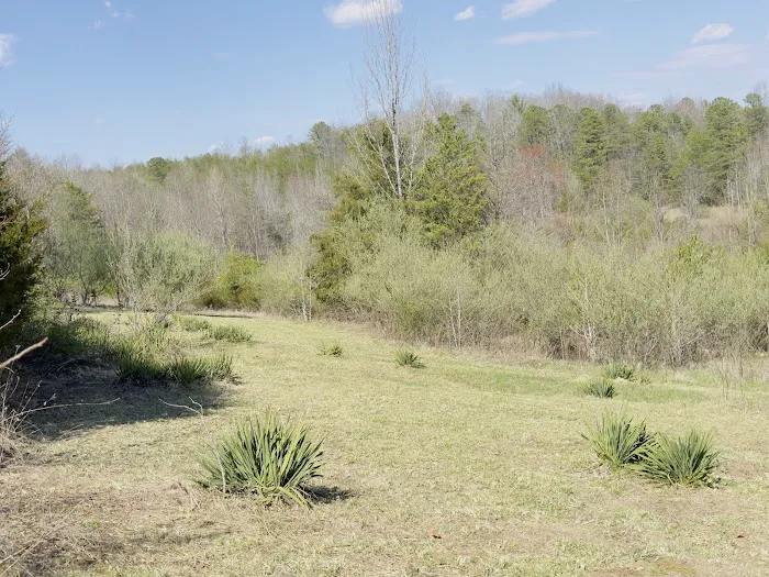 Serene Haven Retreat Campground Picture 3