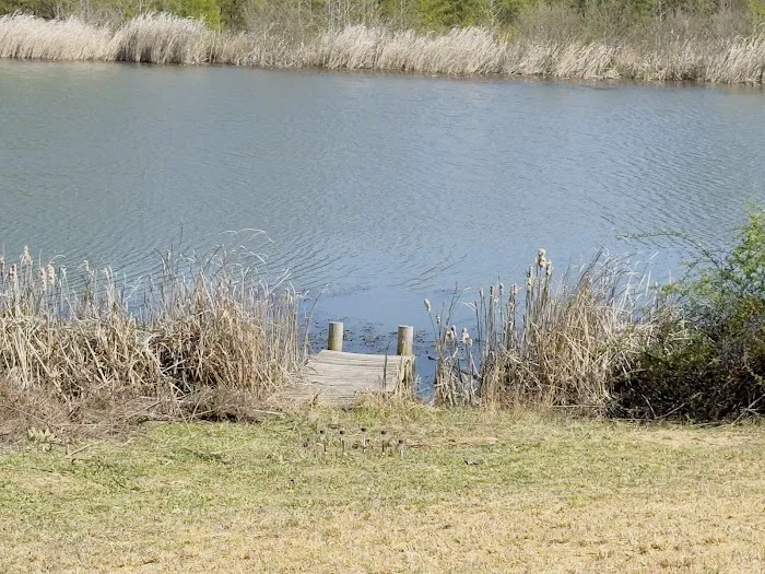 Serene Haven Retreat Campground Picture 6