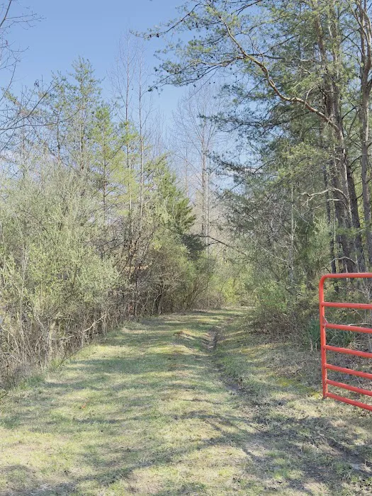 Serene Haven Retreat Campground Picture 5