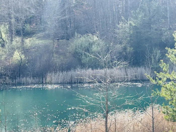 Serene Haven Retreat Campground Picture 10