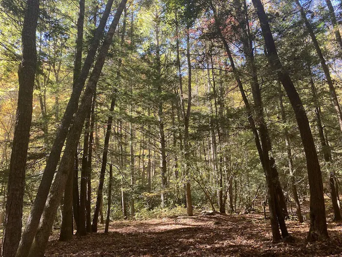 Backcountry Campsite #39 Picture 2