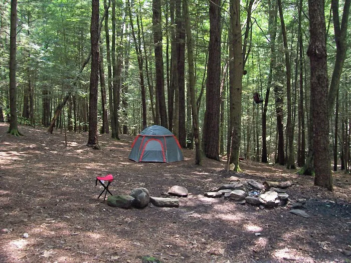 Backcountry Campsite #39 Picture 3