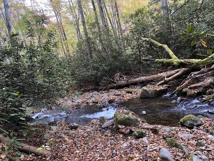 Backcountry Campsite #39 Picture 6