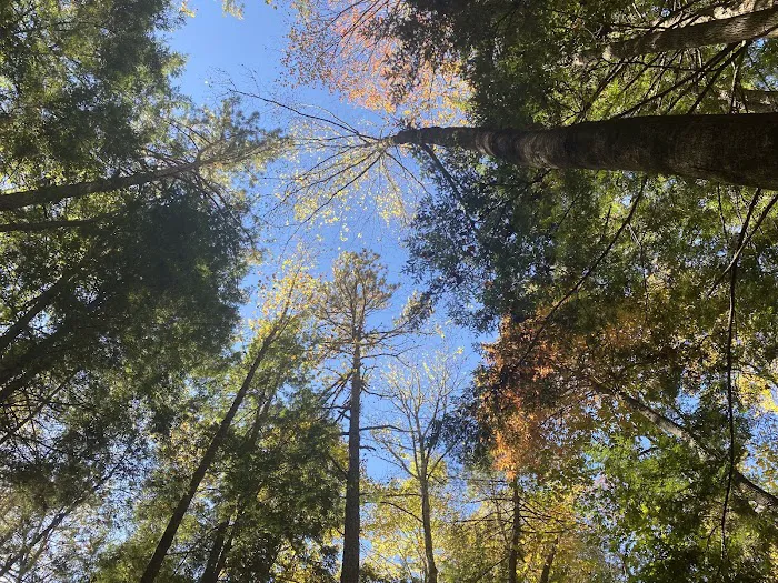 Backcountry Campsite #39 Picture 9