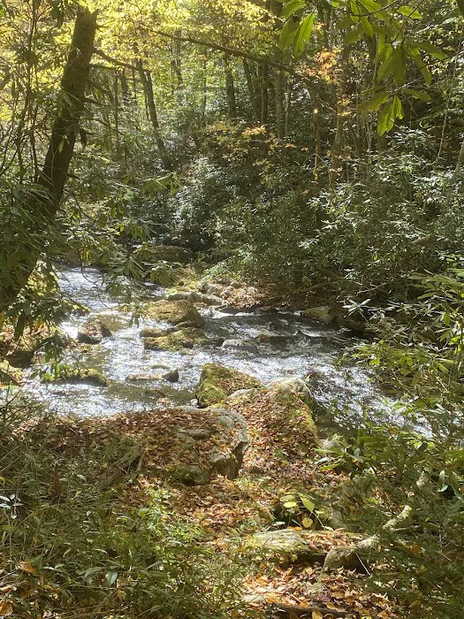 Backcountry Campsite #39 Picture 7