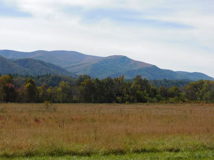 Backcountry Campsite #39 Picture 5