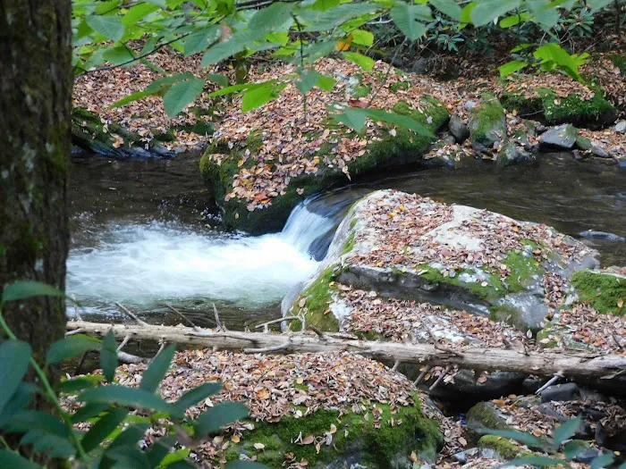 Backcountry Campsite #39 Picture 4