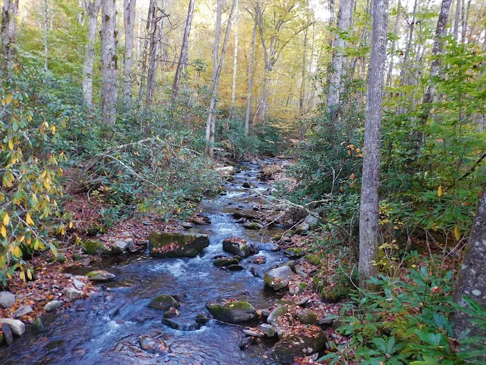 Backcountry Campsite #39 Picture 8