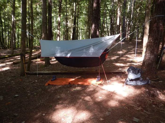 Backcountry Campsite #39 Picture 10