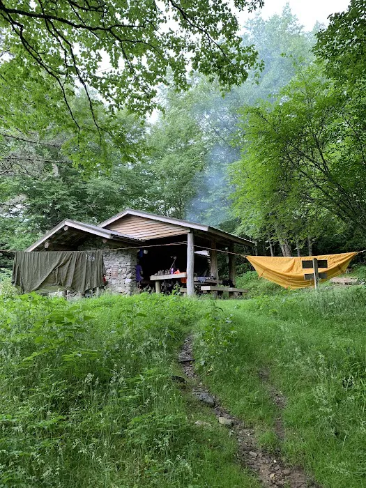 Laurel Gap Shelter Picture 3