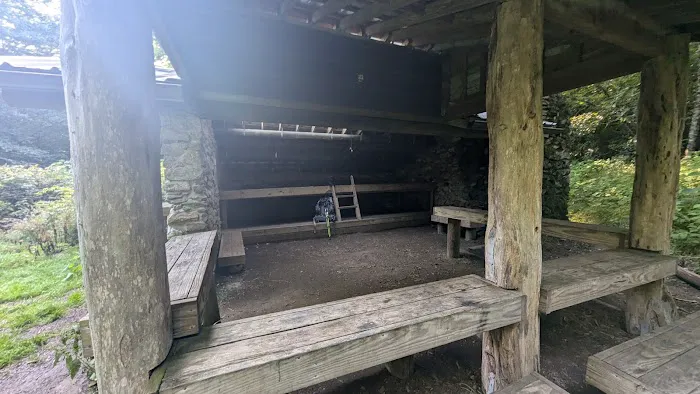 Laurel Gap Shelter Picture 5
