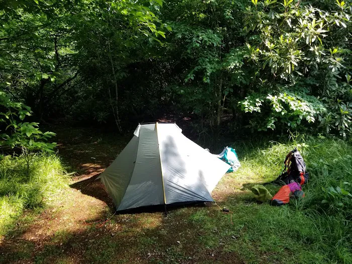 Laurel Gap Shelter Picture 4