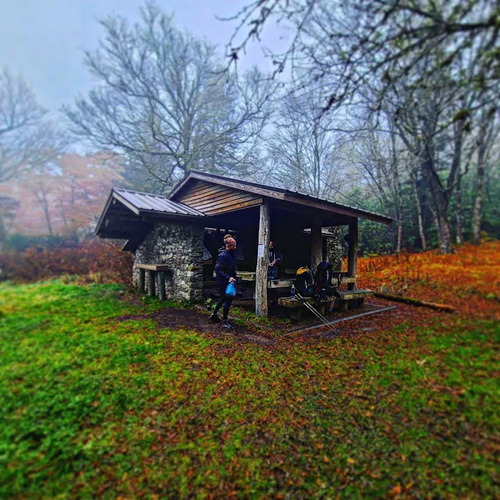 Laurel Gap Shelter Picture 8