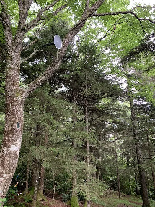 Laurel Gap Shelter Picture 7