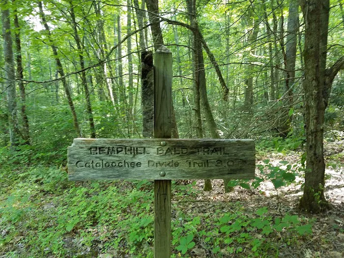 Backcountry Camp 41 Picture 3