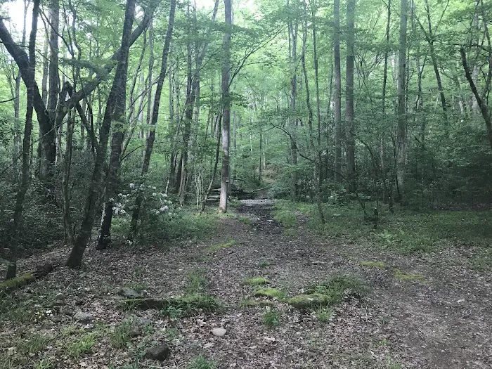 Backcountry Camp 41 Picture 1