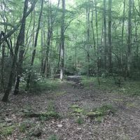 Backcountry Camp 41 ico