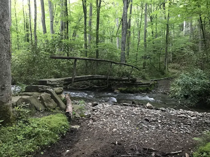 Backcountry Camp 41 Picture 2