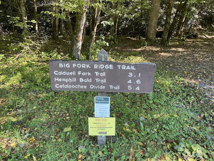 Backcountry Camp 41 Picture 6