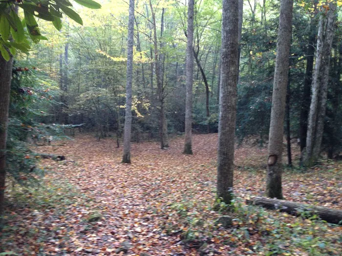 Backcountry Camp 41 Picture 10