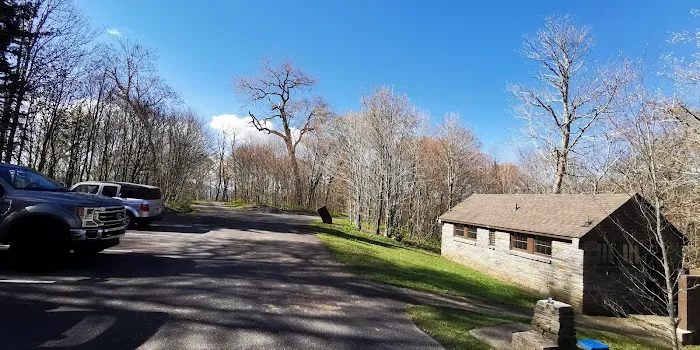 Balsam Mountain Campground Picture 2