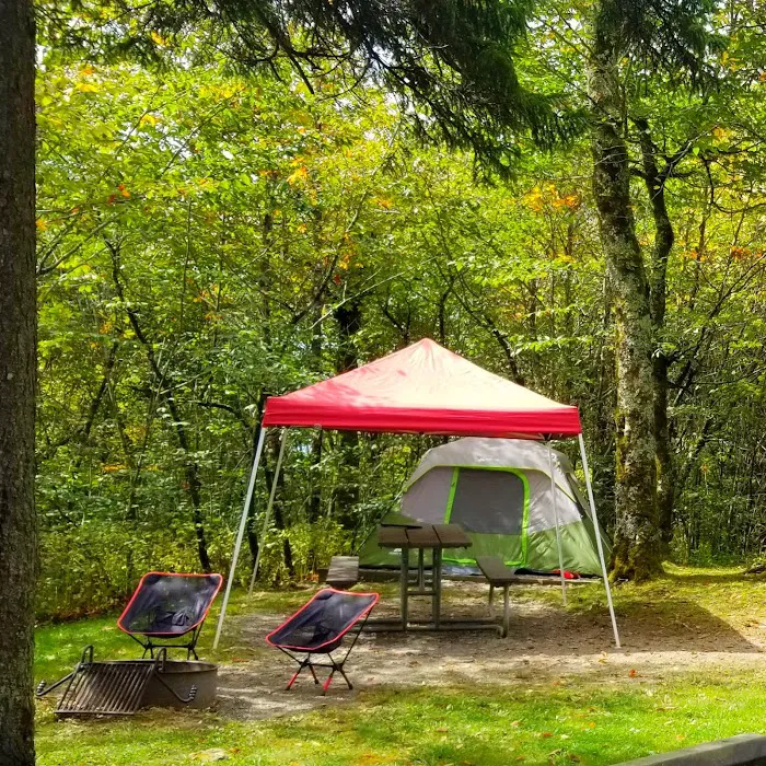 Balsam Mountain Campground Picture 9