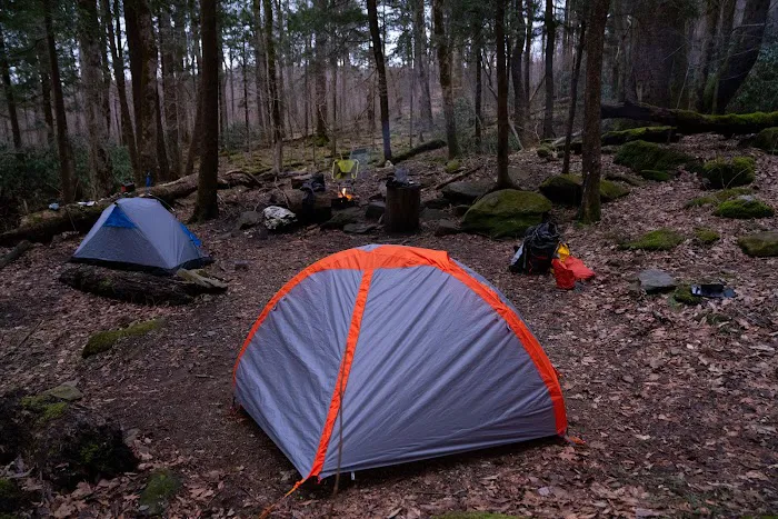 Backcountry Campsite #34 Picture 4