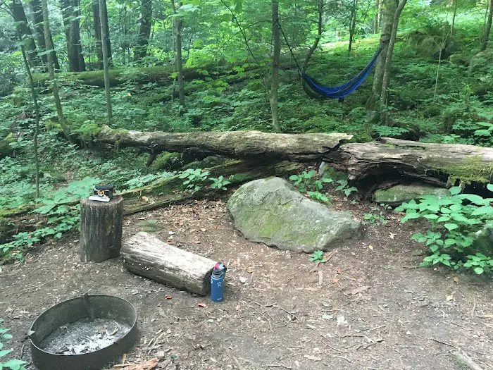 Backcountry Campsite #34 Picture 6