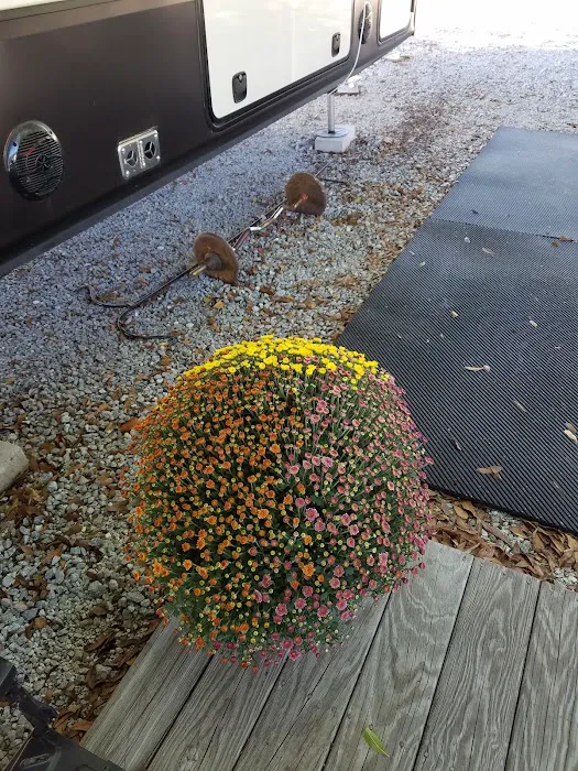 Jolly Acres Camp & Storage Picture 6