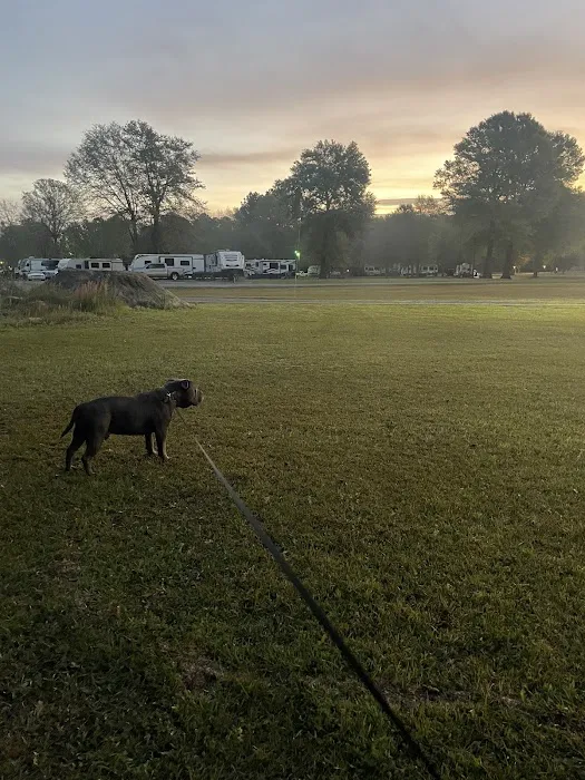 Jolly Acres Camp & Storage Picture 8
