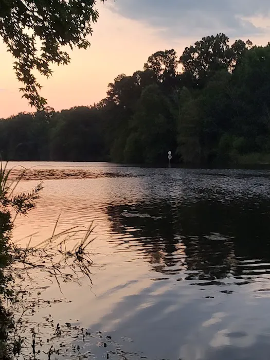 Bells Marina Campground Picture 2